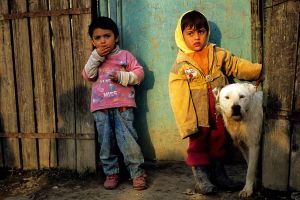 dos niños con perro.jpg